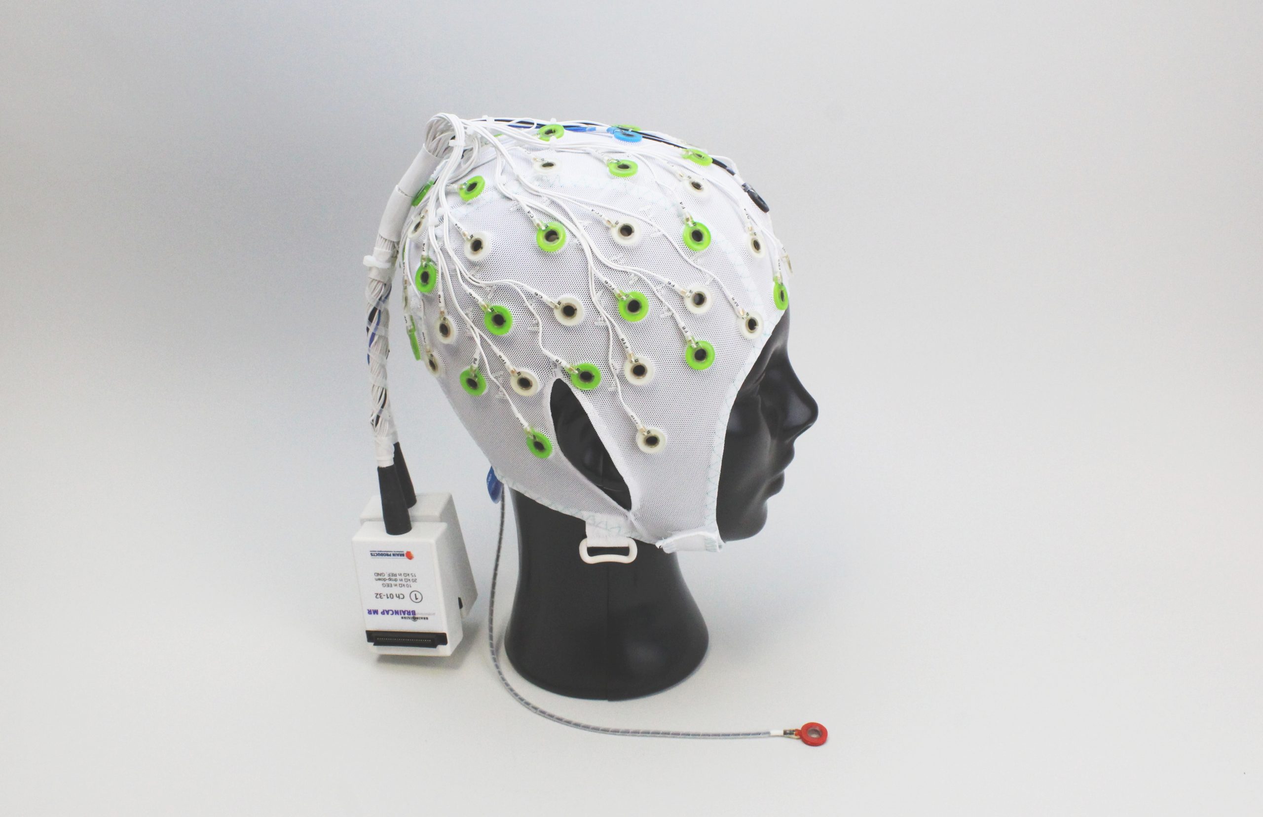 EasyCap BrainCap MR Elektrot Başlıkları